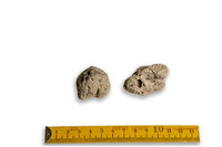 F 03641
<br/>
<br/>
<em></em>